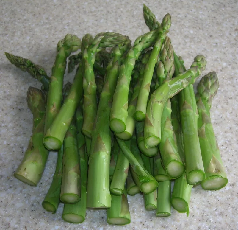 asparagus MARY WASHINGTON perennial 110 seeds  - $6.22