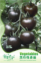 New Fresh Middle Black Pearl Tomato Organic Seeds Pack 25 Seeds / Pack Great Tas - £8.41 GBP