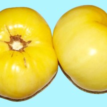 New Fresh Seeds Great White Tomato Seeds - $14.32