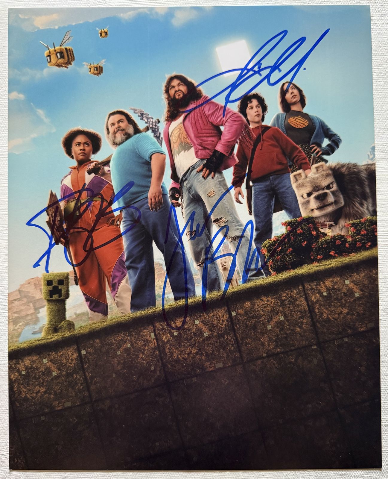 Minecraft Cast Signed Autographed Glossy 8x10 Photo - Black, Mamoa, Brooks - $249.99