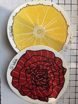 Wet-It! Swedish Treasures Round  Dishcloth &amp; Cleaning Cloth -Set of 2  - $10.00