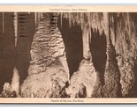 Temple of the Sun Carlsbad Caverns New Mexico NM Postcard Y14 - £1.52 GBP