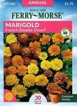 GIB Marigold French Double Dwarf Flower Seeds Ferry Morse  - £7.83 GBP