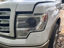 Driver Headlight Xenon Hid Xlt Fits 13-14 Ford F150 Pickup 104582139 - £458.36 GBP