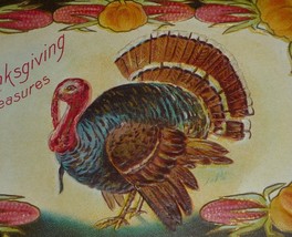 Colorful Turkey With Border of Corn &amp; Pumpkins Antique Thanksgiving Postcard  - £7.47 GBP