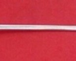 Audubon by Tiffany and Co Sterling Silver Iced Tea Spoon 7 1/2&quot; Heirloom - $157.41