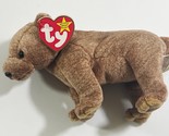 Ty Beanie Baby PECAN the Bear, Retired, 1999, w/All Tags - $4.94