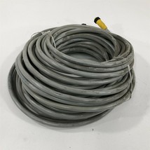 Lumberg 0935 613 301/25M Double Ended Cordset - $169.99