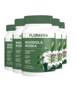 5-Pack Rhodiola Rosea Capsules - Floraviva for Energy, Focus, Mood -300 ... - $58.95