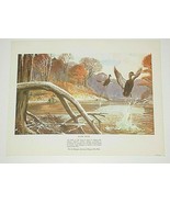 Remington Sportsmen&#39;s Black Duck Lithograph Fine Print USA - £17.13 GBP