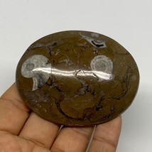 83.6g, 2.8&quot;x2.2&quot;x0.6&quot;, Goniatite (Button) Ammonite Polished Fossils, B30063 - £6.39 GBP