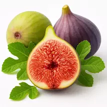 Celeste Sugar Fig Seeds: Sweet, Hardy Variety for Home Growing - $13.95
