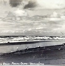 RPPC Pacific Ocean Coastal Washington Sea Gulls 1920s Pac NW Ellis PCBG6F - £15.71 GBP