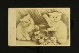 Vintage Paper Persian Cats Kittens Playing Dominoes Mini Photo Card Virg... - $9.66