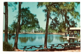 Howard Park Picnic Tables Palm Trees Tarpon Springs FL Dexter UNP Postcard 1967 - £7.80 GBP