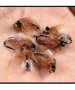 10pcs Dragonfly Nymph Fly Fishing Flies Size #8 Freshwater Lures - $19.00