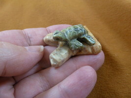 (Y-TUR-LA-110) baby GREEN serpentine gemstone Turtle FIGURINE branch carving - £7.50 GBP