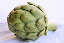 5 Vegetable Fresh Seeds Artichoke - $5.98