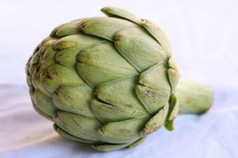 5 Vegetable Fresh Seeds Artichoke - £4.67 GBP