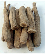 Costus Root - $21.72 CAD+