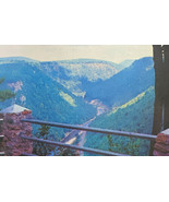 Pennsylvania Grand Canyon Colton Point State Park Vintage Postcard Used ... - £3.15 GBP