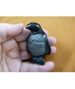 Y-PEN-724) Black Onyx PENGUIN gemstone BIRD penguins king emperor Antarc... - $464.13 MXN