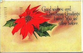 Poinsettia Blossom Good Wishes Christmas Greetings DB Postcard Pink Perfection - £3.12 GBP