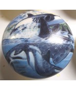 Cabinet Knobs w/ Whale Killer Orca Willie #3 - $4.55