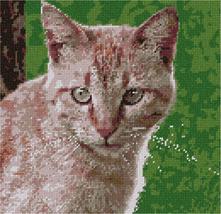 Pepita Needlepoint Canvas: Ginger Cat, 10&quot; x 10&quot; - £62.54 GBP+