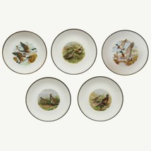 Lot of 5 Vintage Bird Plates 10&quot; Liverpool Road Pottery England Gold Gilt Rims - £70.28 GBP