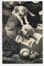 Adorable B &amp; W, 5 3/4 by 9 inch Christmas Photo-Puppy Presents - £5.95 GBP