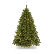 National Tree Company 6 Ft. Winchester Pine Tree with Clear Lights C210511 - £147.99 GBP