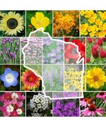 Wildflower Wisconsin State Flower Mix Perennials Annuals Non Gmo 1000 Seeds - $16.44 CAD