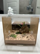 Ant tank/Ant farm - Nest N02 - Basic - £47.41 GBP