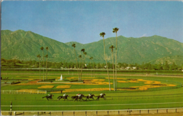 Vtg Postcard Santa Anita Park Arcadia, California, Horse Racing Grounds, PM 1977 - £4.61 GBP