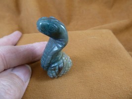 (Y-SNAK-CO-608) Green Fancy Jasper SNAKE COBRA FIGURINE GEMSTONE reptile... - $18.69