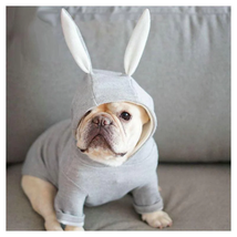 Cozy Canine Knitted Sweater With Bunny Ears - £17.89 GBP+