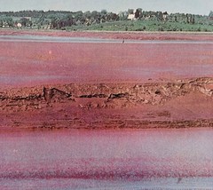 1970s Postcard Fundy Tides Avonport Nova Scotia Coastal Beach Vintage E2B - $10.99