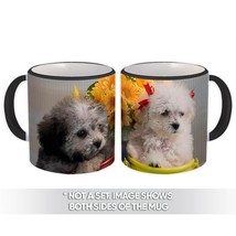 Poodles : Gift Mug Pet Animal Puppy Dog Flowers Cute Funny Pot - £12.70 GBP