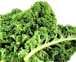 Dwarf Siberian Kale Seed 200 Seeds Nongmo4 Items From US  - $8.35