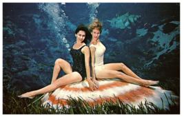 Weeki Wachee Mermaids Florida Postcard Sitting on a Shell Underwater 1975 - $17.77
