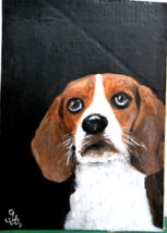 Original Acrylic Painting of Beagle Dog . Signed /Dogs, Pet, Animal Painting Art - £23.58 GBP