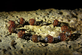 Old Rudraksha in Silver Cups Link Bracelet Lobster Claw clasp Meditation... - $177.00