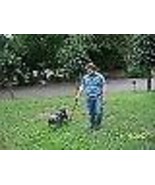 8 Ft Hands Free Dog Leash Cycling, Jogging Single Dog. - $30.99