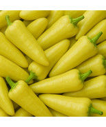 MX Hungarian Sweet Wax Pepper Seeds Stuffing Pickling Non GMO Bulk Seed - $185.09 MXN