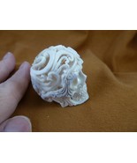 (SKULL-W54) Medium white full skeleton Skull figurine Bali antler crafte... - $221.66 CAD
