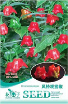 Anatolian Tulip Ornamental Pepper 20 Seeds Aeolian Bell Chili Red Pepper Edible  - £6.59 GBP