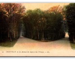 Les Avenues Des Aigles E Des Tribunes Chantilly Francia Unp DB Cartolina... - $5.08