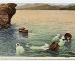 Pearl Divers Postcard Japan NYK Line  - $17.82