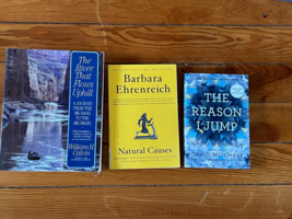 Lot Of The Reason I Jump Natural Causes River That Flows Uphill Nonfiction Books - £8.30 GBP